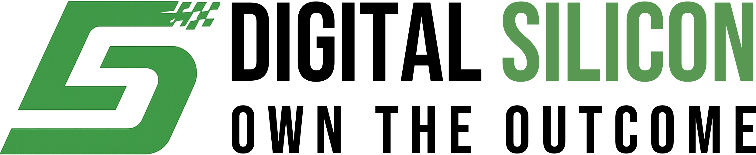 Digital Silicon logo